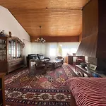 Διαμέρισμα Haus Pia Executive Φριντρισχάφεν