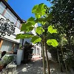Haus Pia Executive Апартаменты Фридрихсхафен