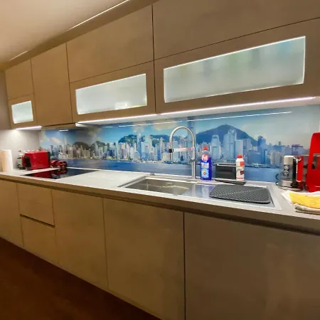 Haus Pia Executive 公寓 腓特烈港