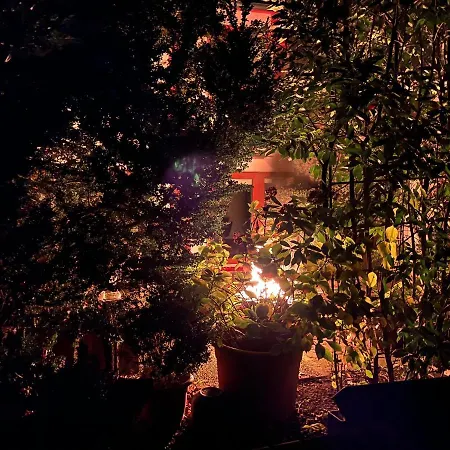 Haus Pia Executive * 腓特烈港